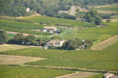 VENDU - Village de Menerbes belle propriété à vendre avec dépendances sur 2 hectares de vignes
