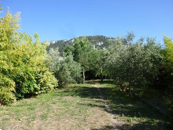 Vente rare en Provence, grande bastide de village avec cour intérieure, nombreuses dépendances, grand jardin arboré, très belle vue Luberon. BIEN VENDU