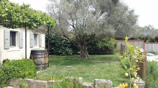 Cheval Blanc maison de campagne au pied du Luberon